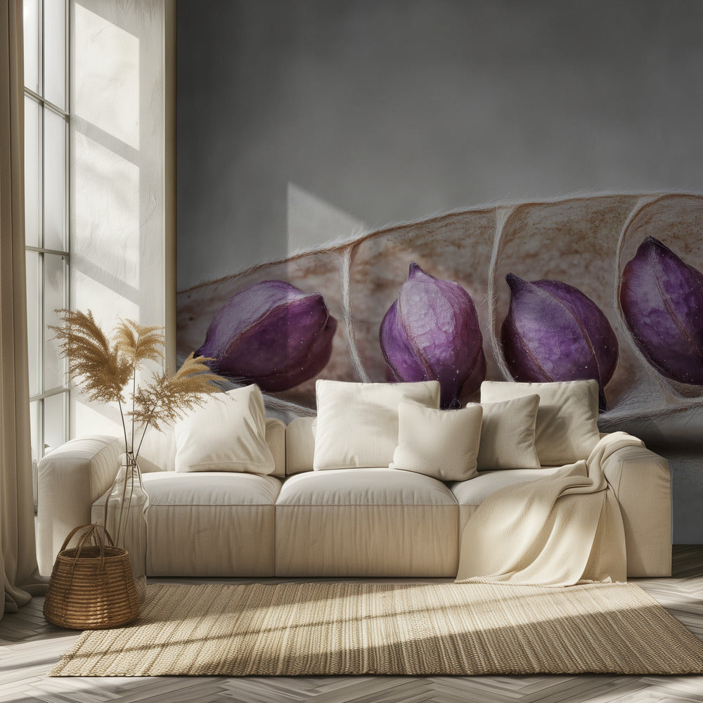 Lila Pod Harmony | Tapete