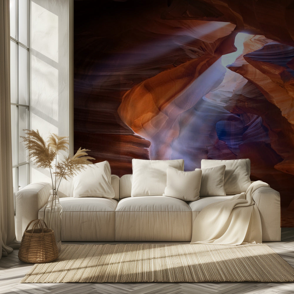 Pure Photodelight 2 | Hintergrundbild