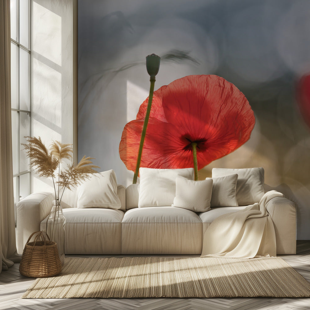 Morgenmohn | Tapete