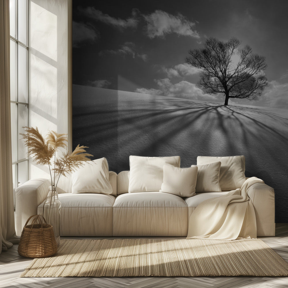 Baumschatten | Tapete