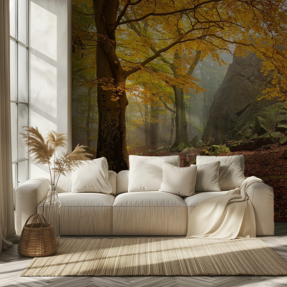 Herbstwald | Tapete