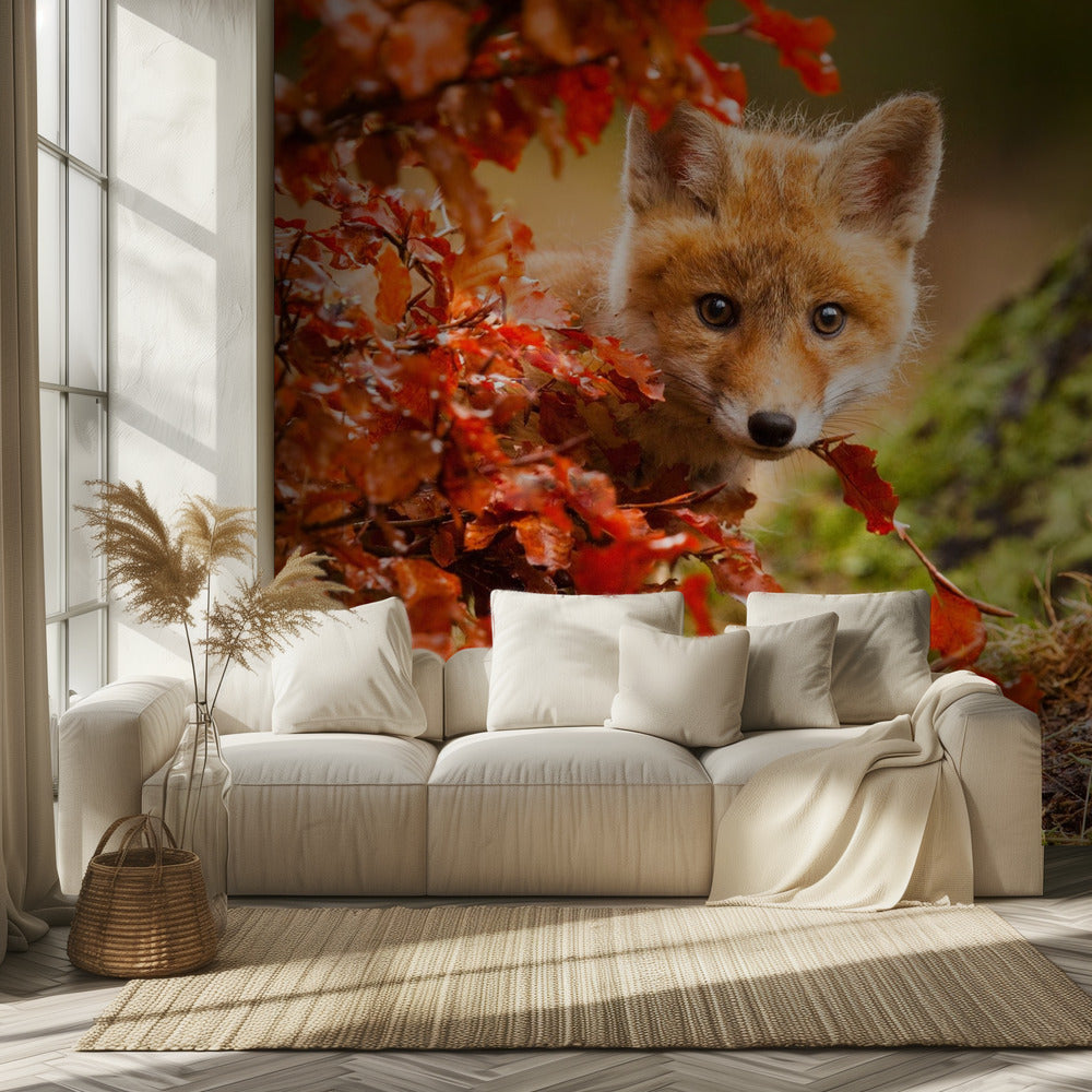 Fuchs | Tapete