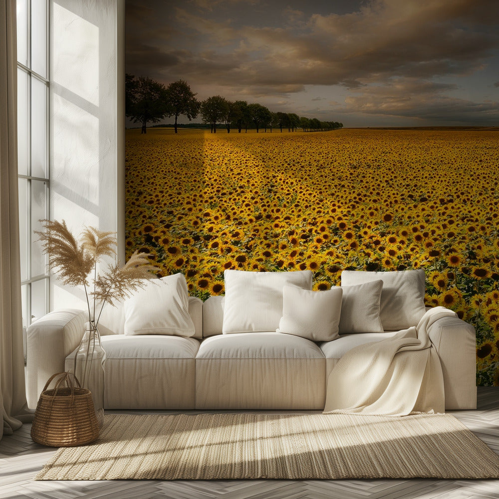 Sonnenblumen | Tapete