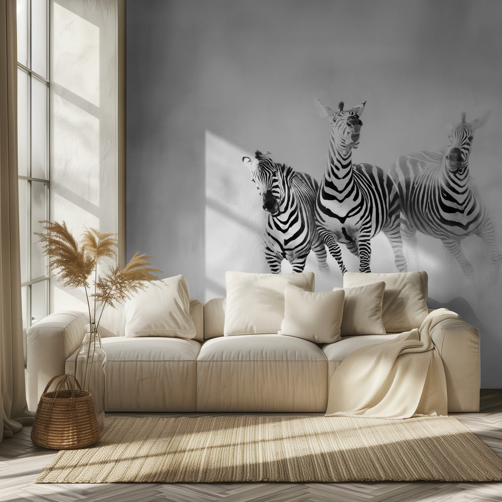 ZEBRAS | Tapete