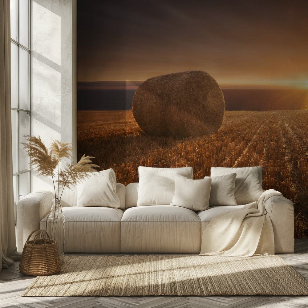 Gold Harvest | Tapete