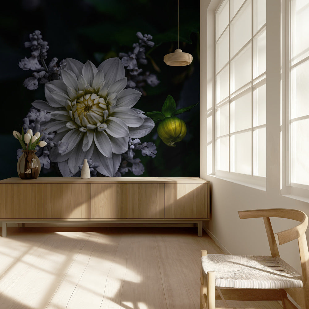 Dahlienblüte | Tapete