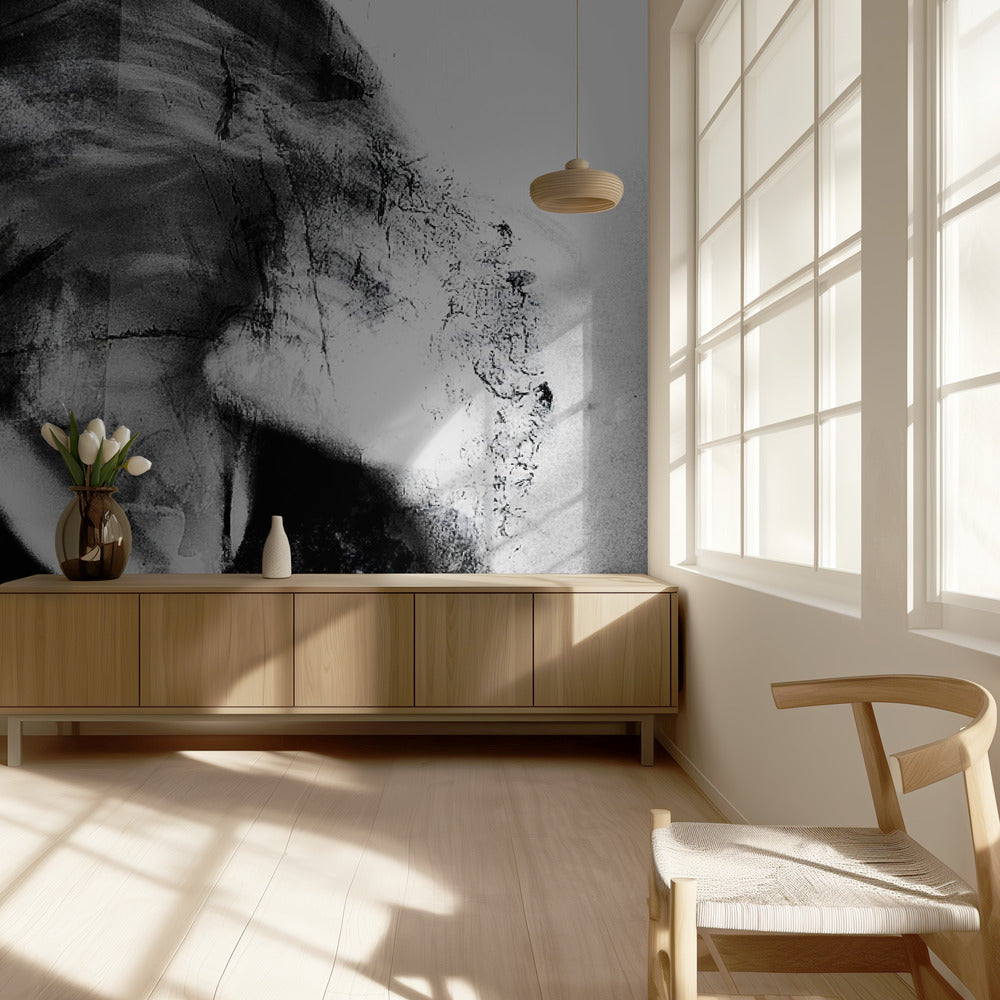 Schatten (Spaltung) | Hintergrund