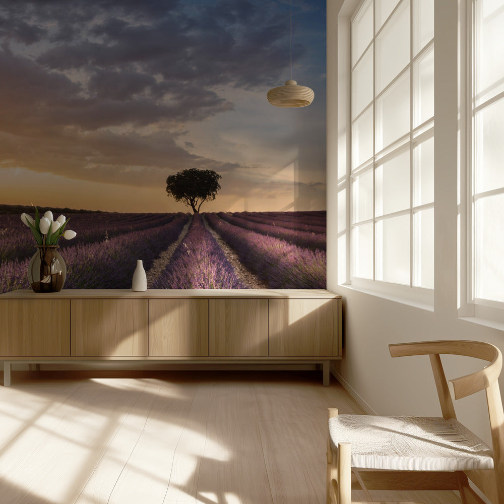 DESTINATION LAVENDER | Tapete