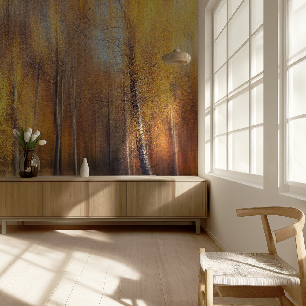 Herbstbirken | Tapete