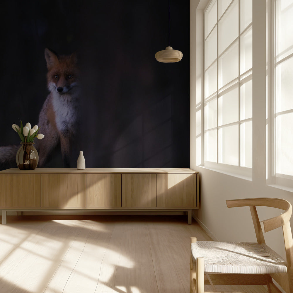 Glances | Wallpaper
