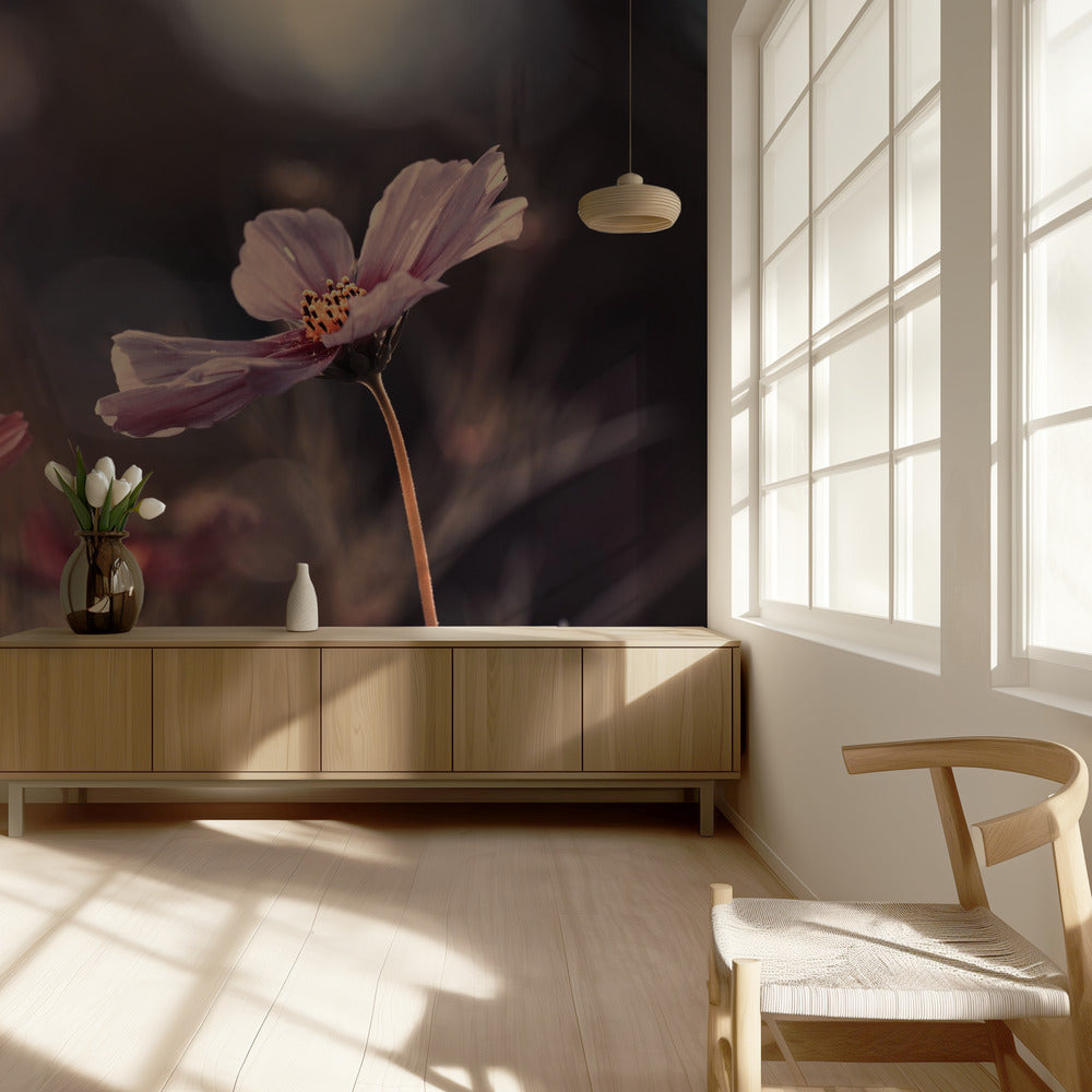 Blumen der Unschuld | Tapete