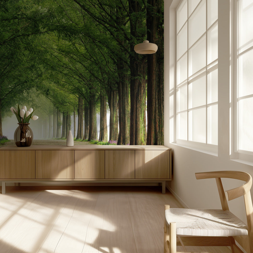 Metasequoia-Straße | Tapete
