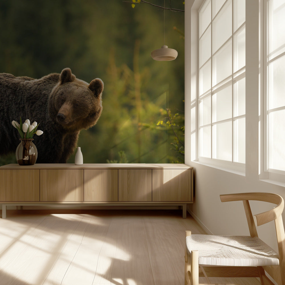 Von hinten beleuchteter Bär | Tapete
