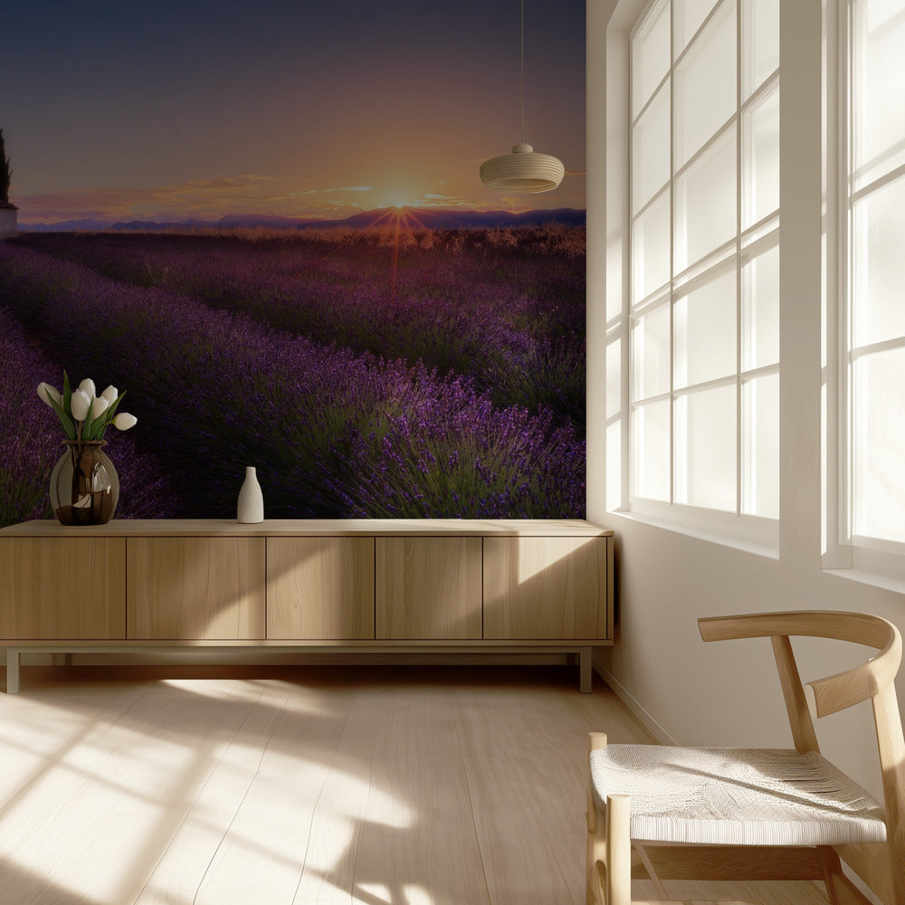 Provence Lavendel | Tapete