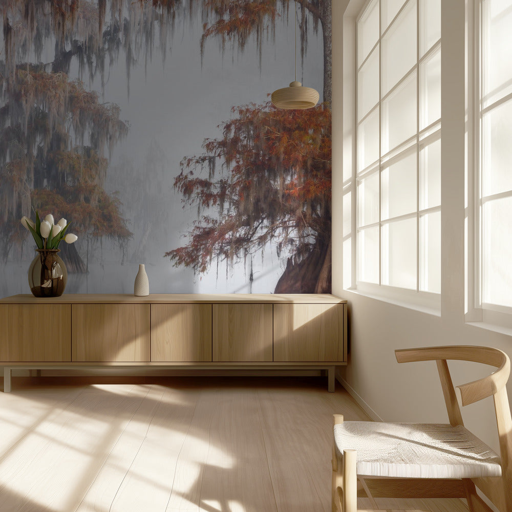 Mysty Bayou | Hintergrundbild