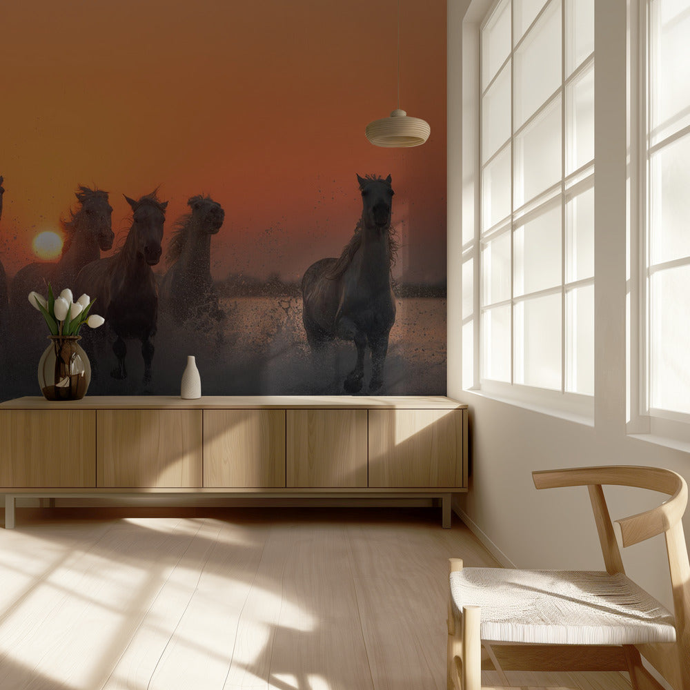 Sonnenuntergang in der Camargue | Hintergrundbild
