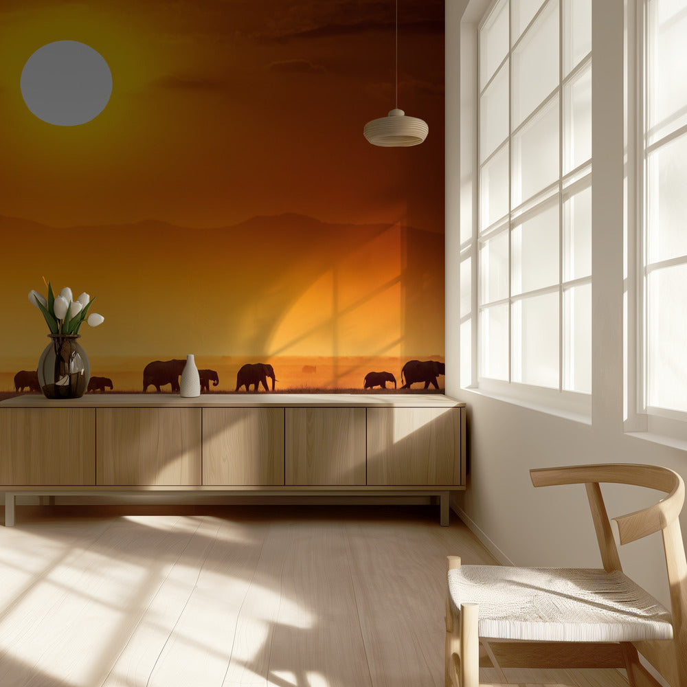 Sonnenaufgangsparade | Hintergrundbild