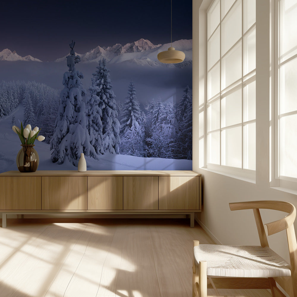 Im Winter | Hintergrundbild