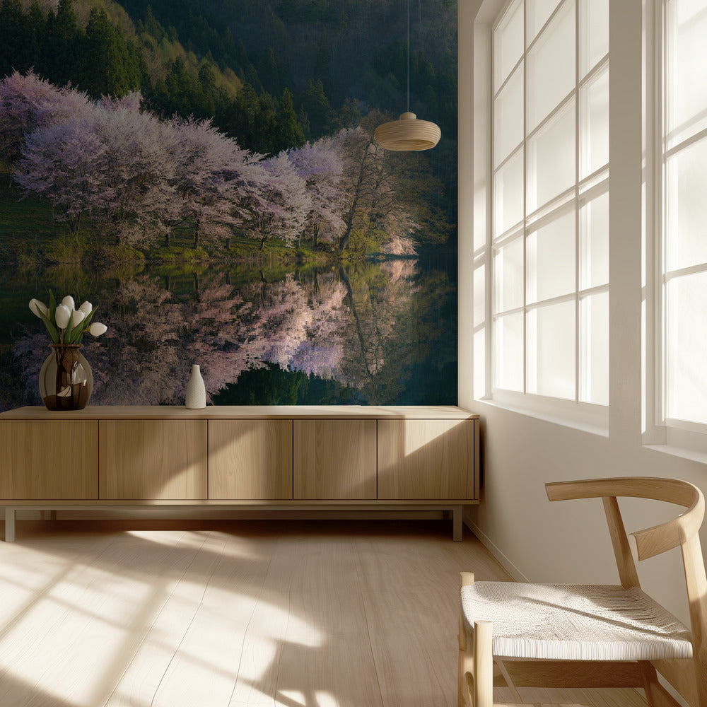 Sakura | Tapete