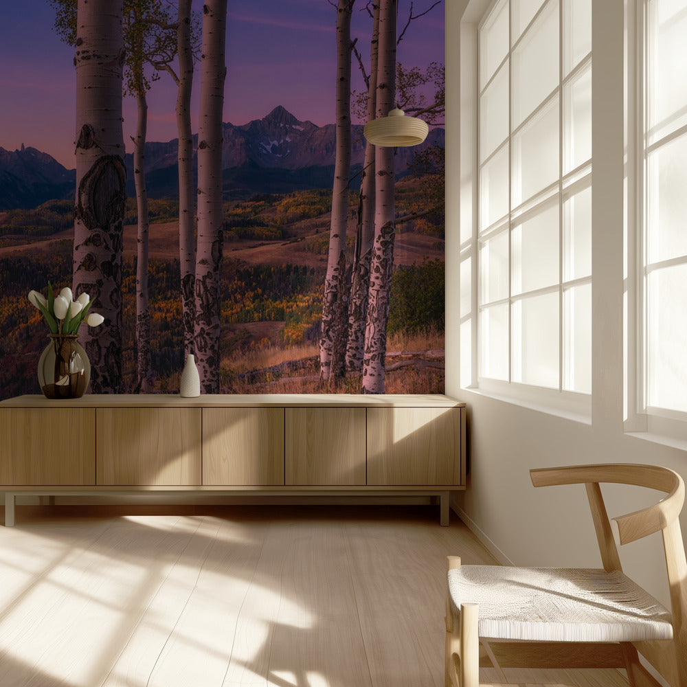Aspen Frames | Tapete