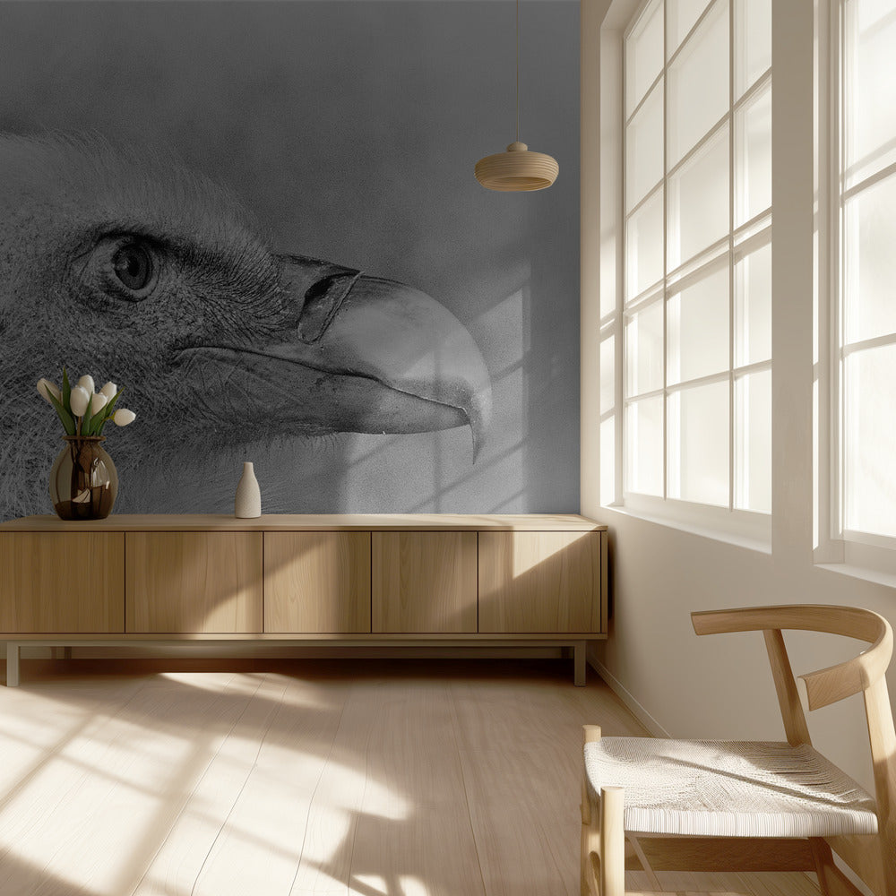 Weißkopfseeadler | Tapete