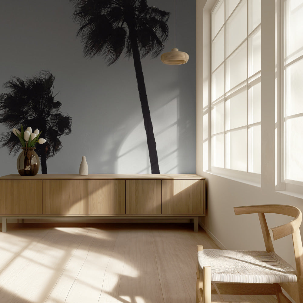 Palme_004 | Tapete