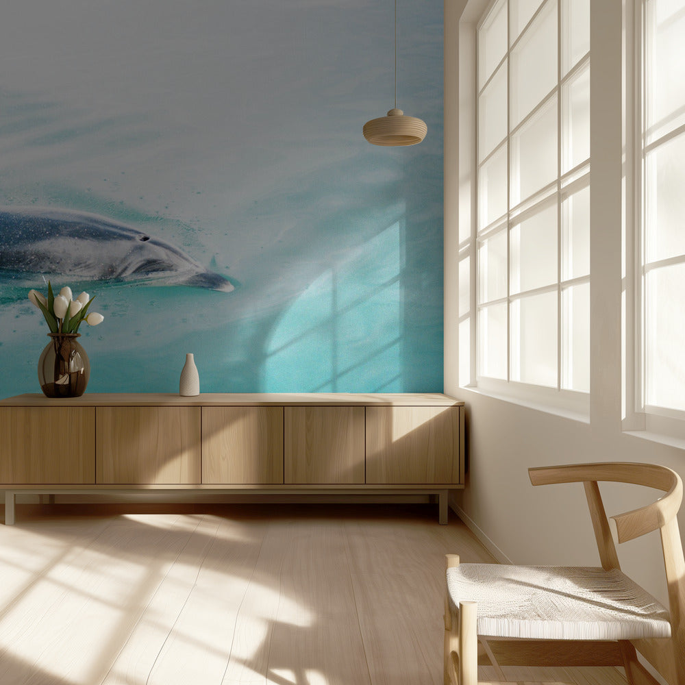 Delfin NZ Northern | Tapete
