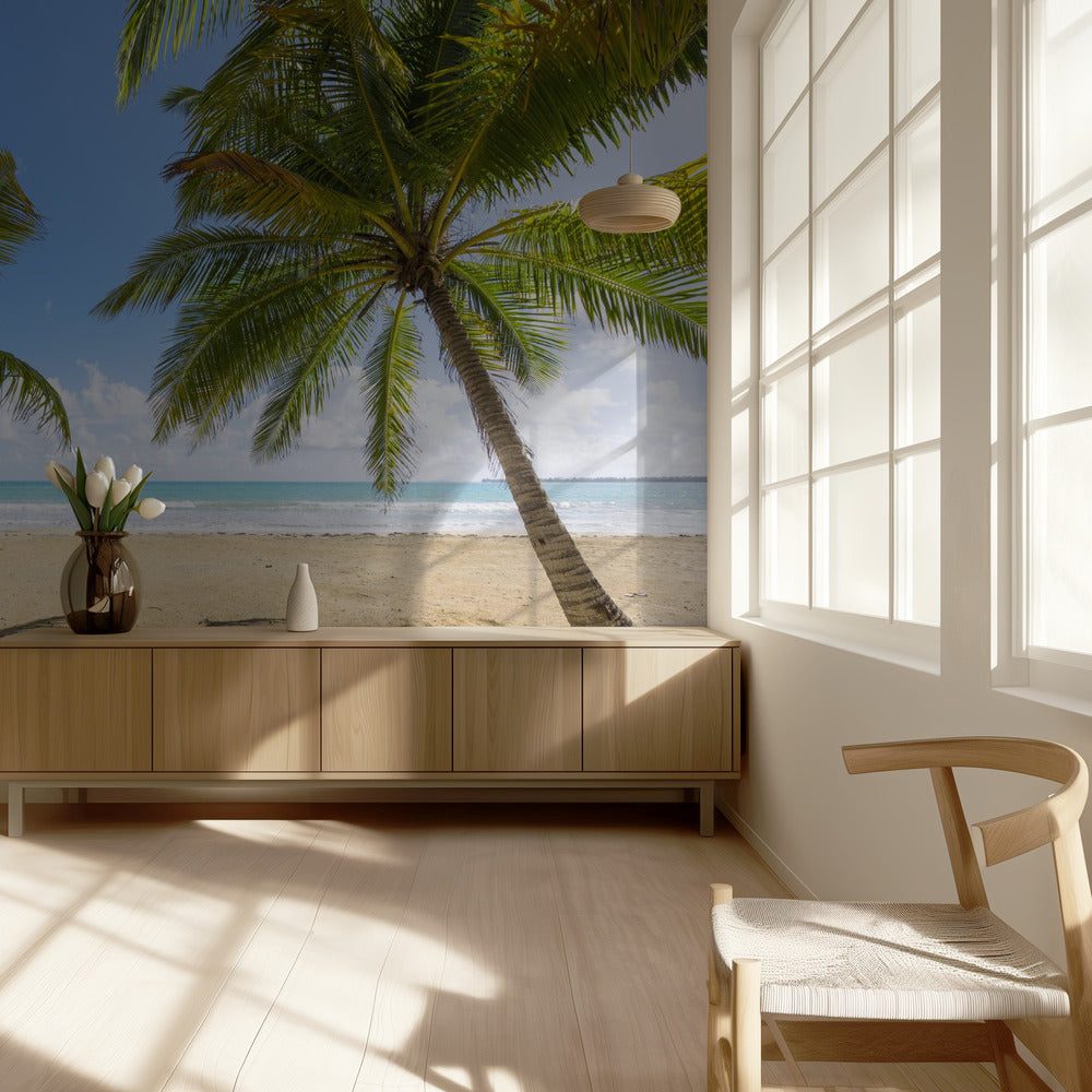 Palmy Beach | Tapete