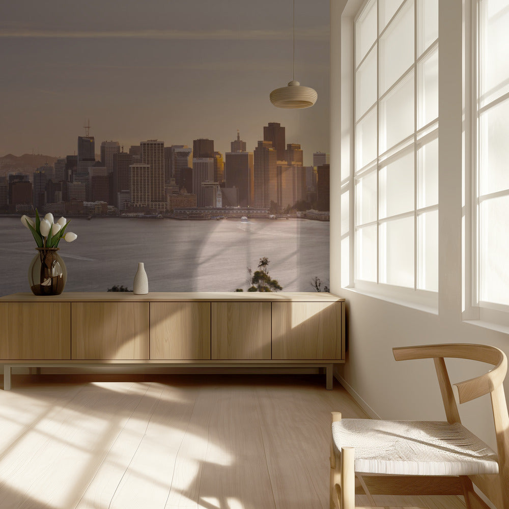 San Francisco Panorama | Hintergrundbild