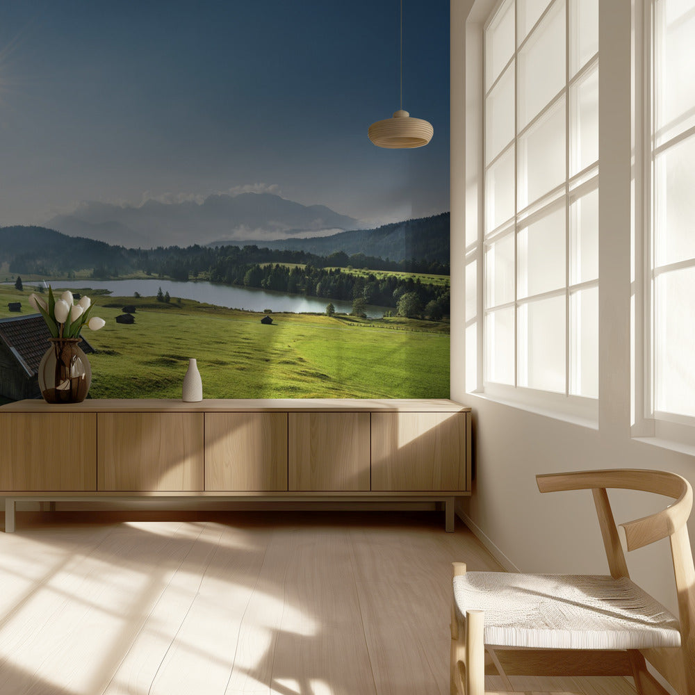 Sommerwiese | Tapete