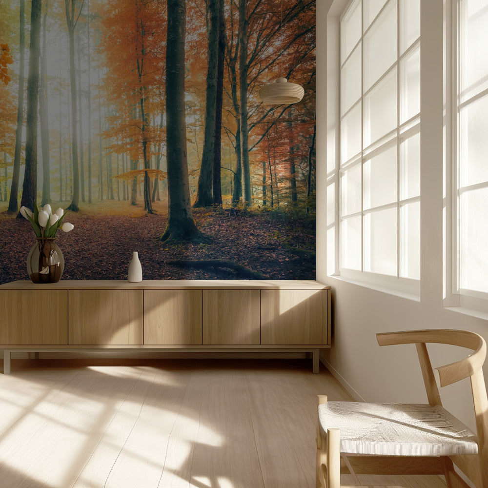 Herbst im Wald | Hintergrundbild