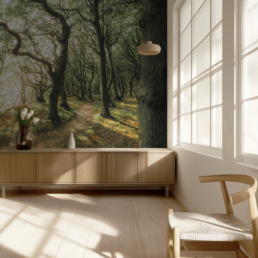 Magisches Buchenholz | Tapete