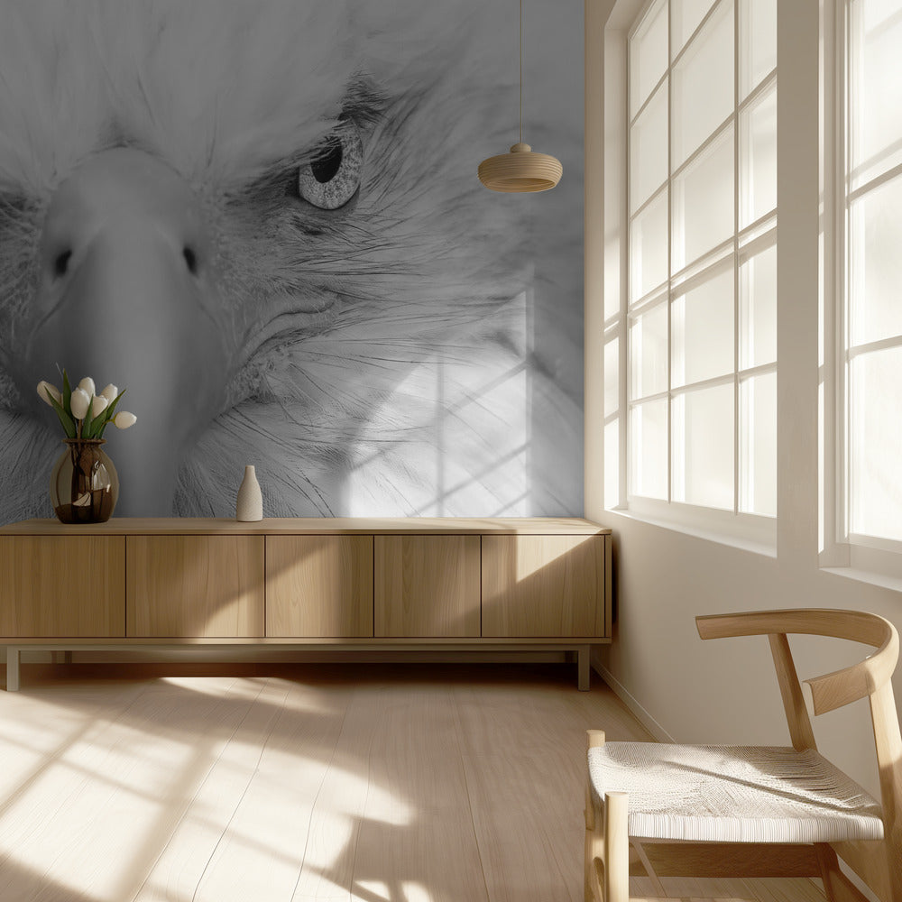Killeraugen | Hintergrundbild