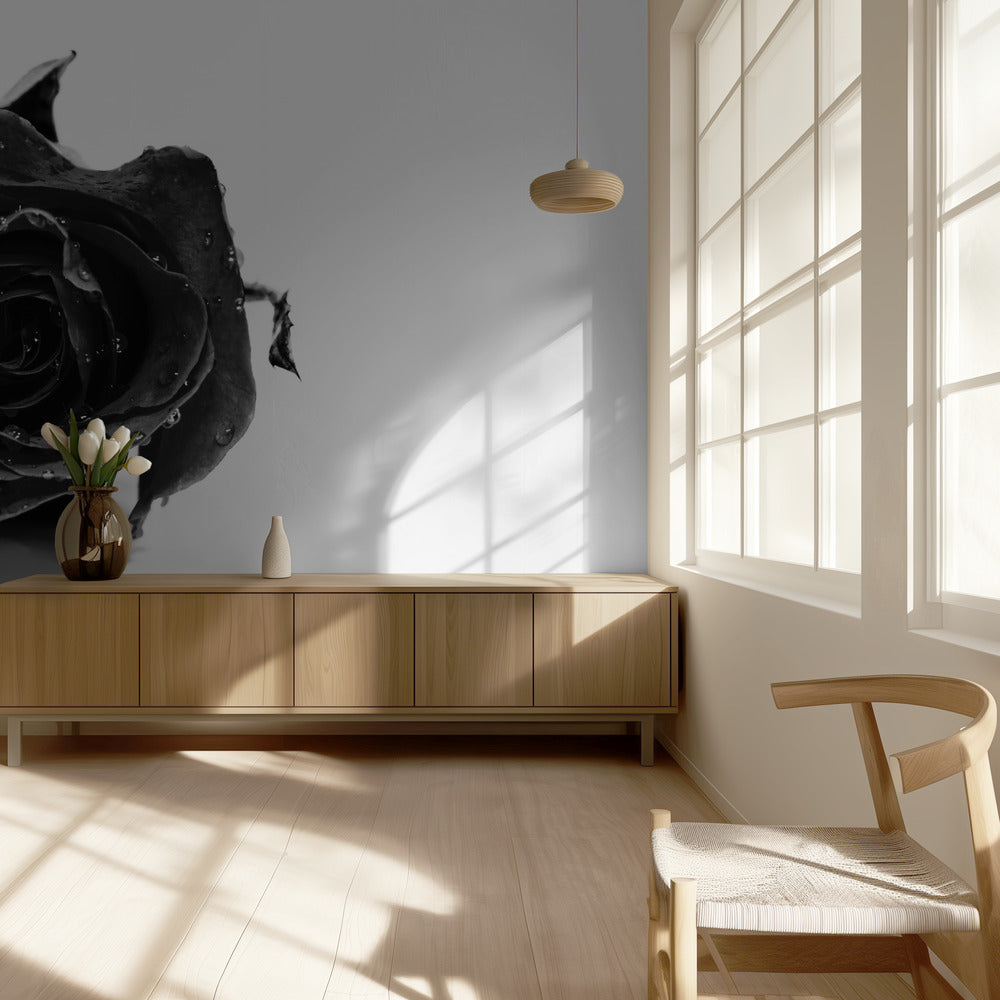 Rose Noir | Tapete