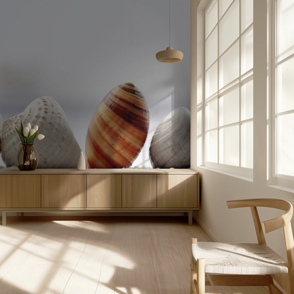 Muschelsymphonie | Tapete
