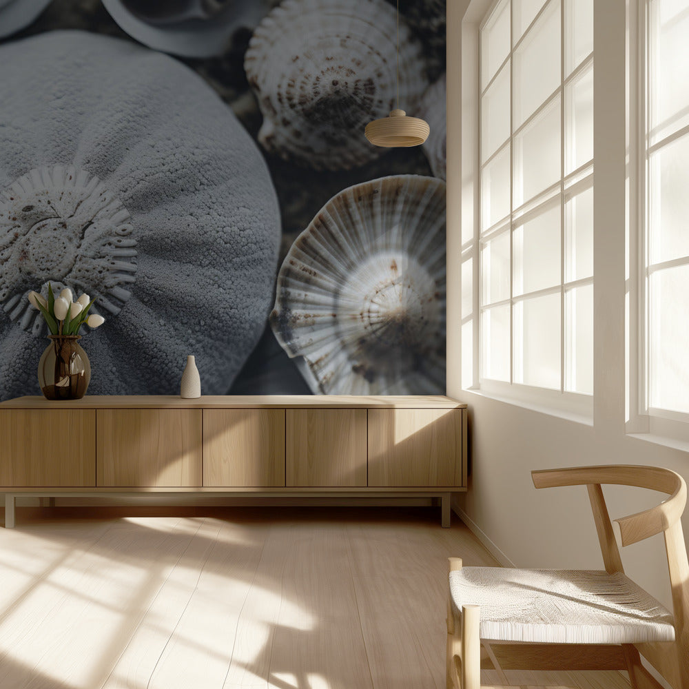 Muschelsymphonie | Tapete
