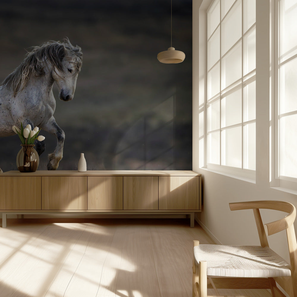 Mustang, Wildpferd / Equus ferus caballus | Tapete