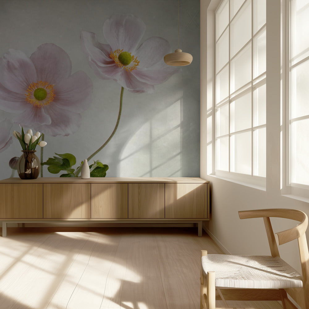 Anemonen | Tapete
