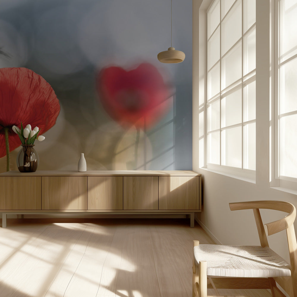 Morgenmohn | Tapete
