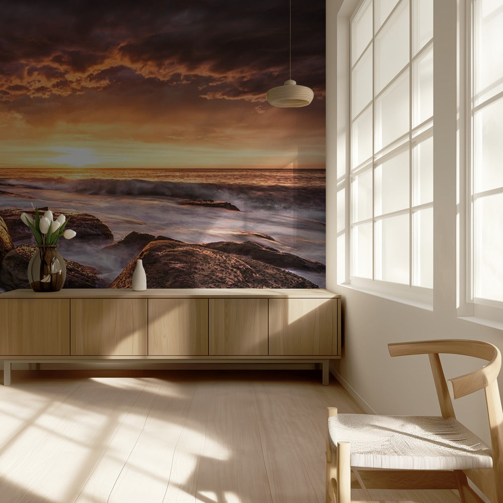 Cape Solander | Hintergrundbild