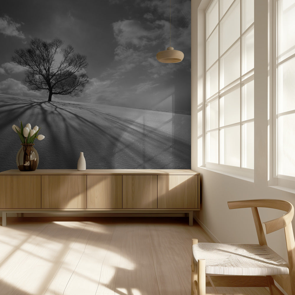 Baumschatten | Tapete