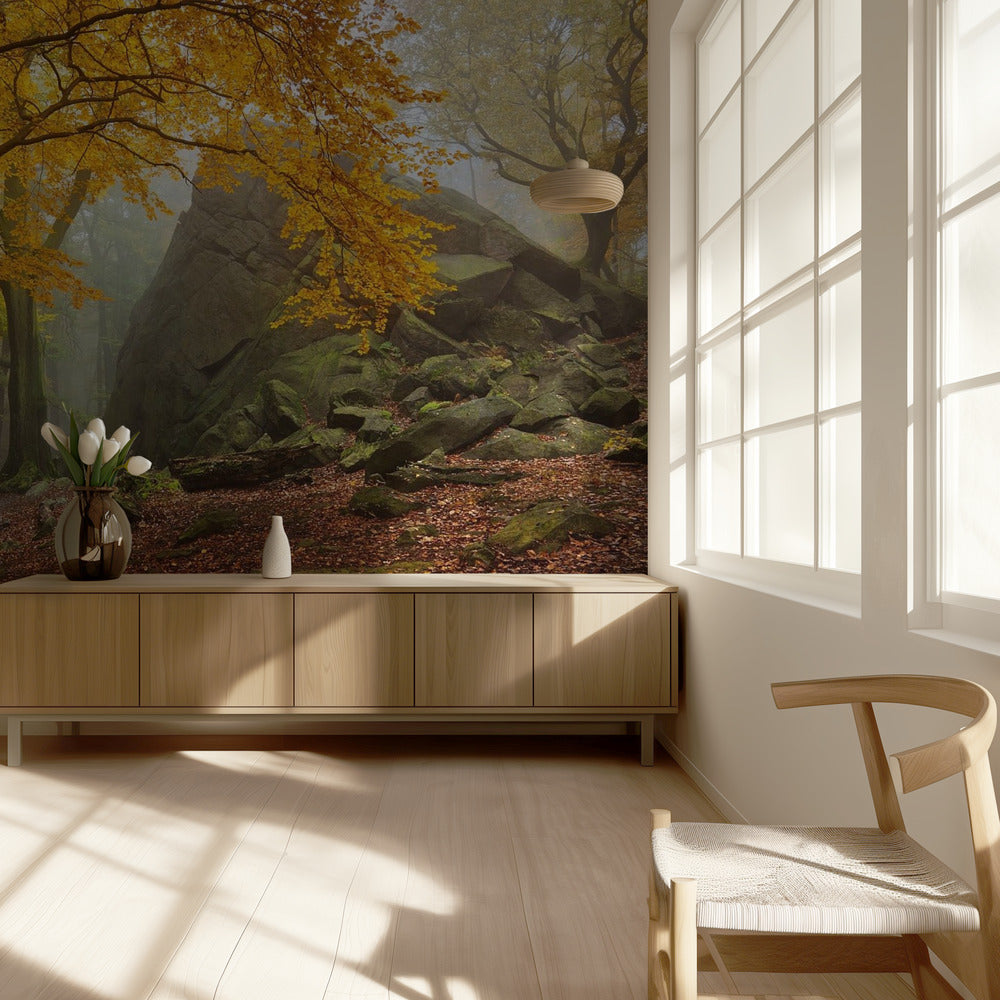 Herbstwald | Tapete