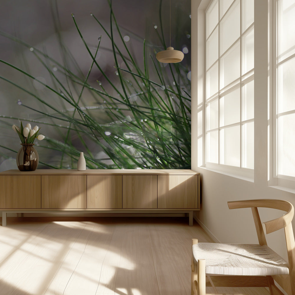 Bevorstehende Landung | Hintergrund