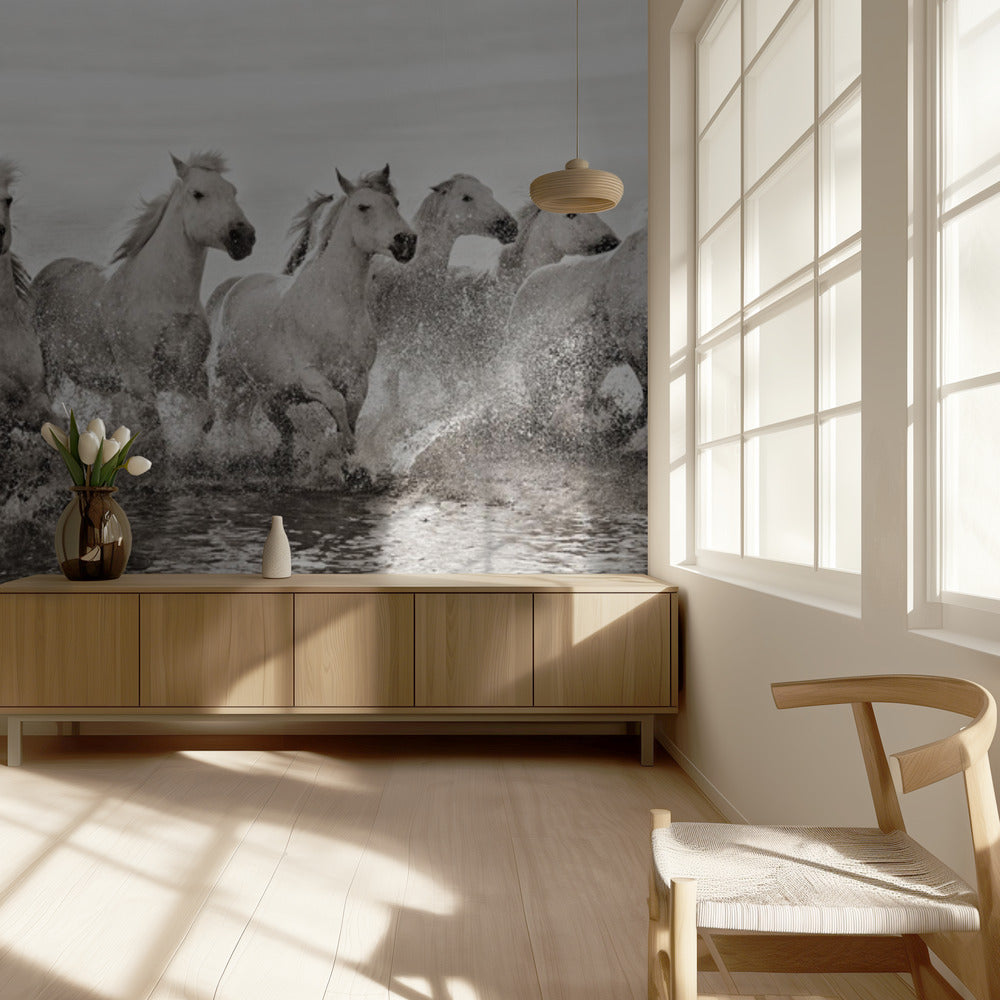 Illusion von Kraft (aber 13 PS) | Hintergrundbild