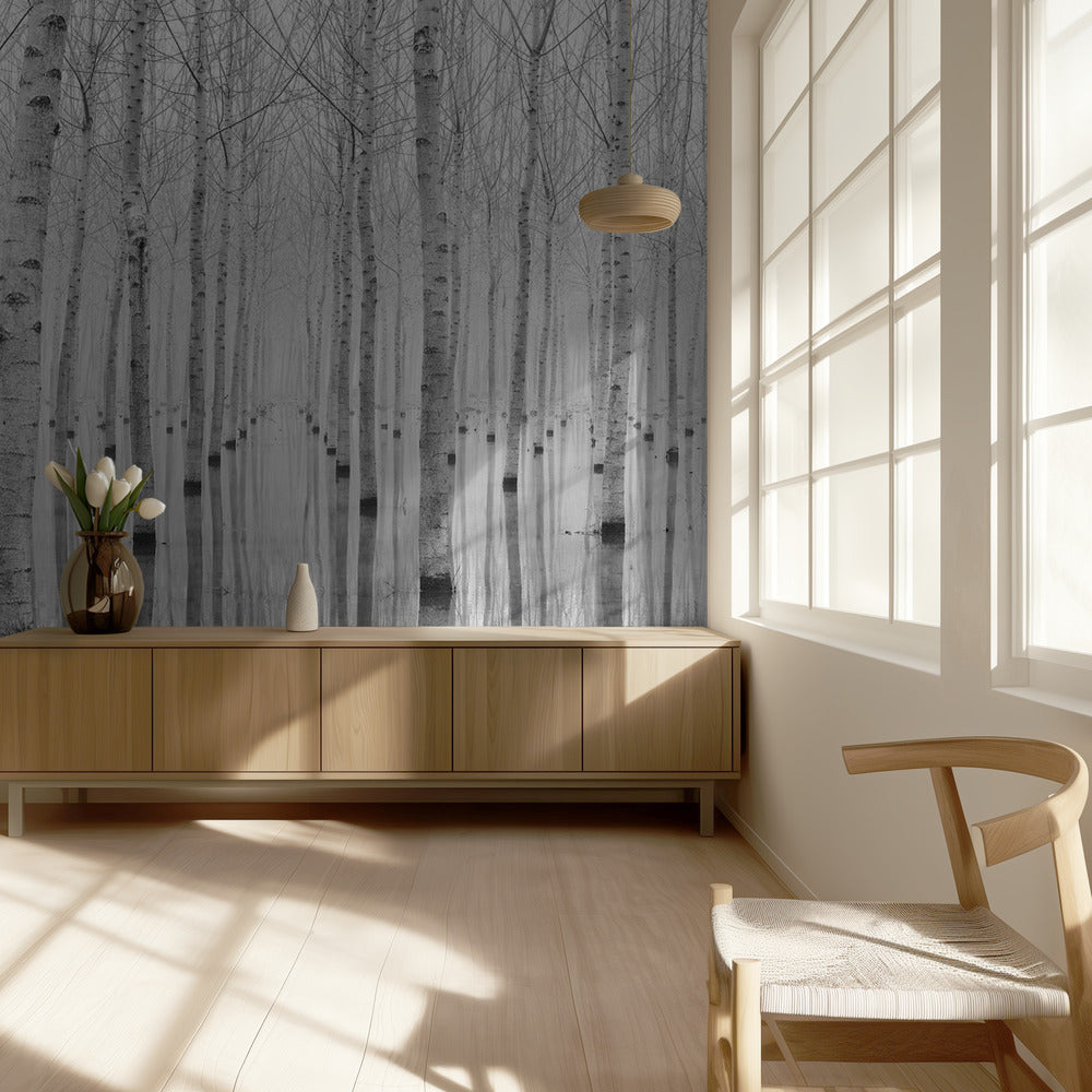 November 2014 | Hintergrundbild