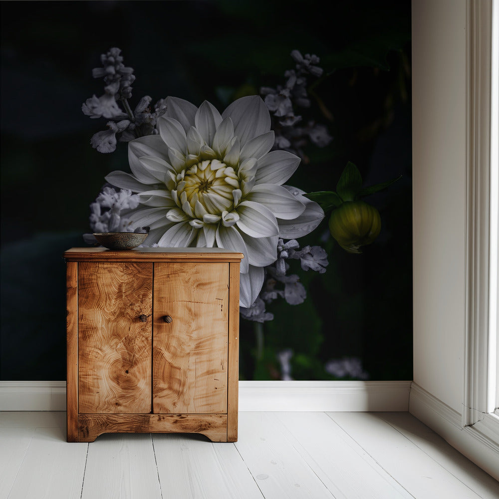 Dahlienblüte | Tapete