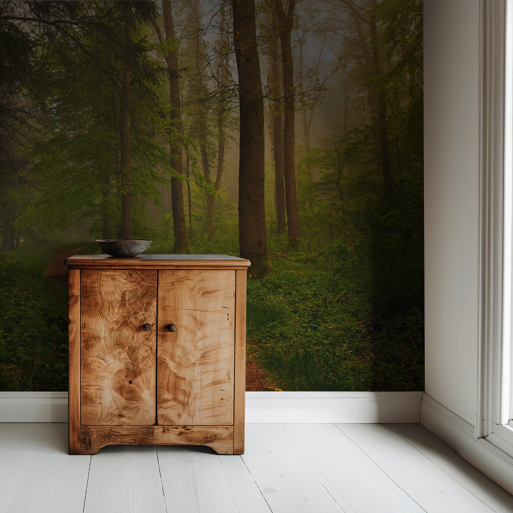 Der Rote Pfad. | Hintergrundbild