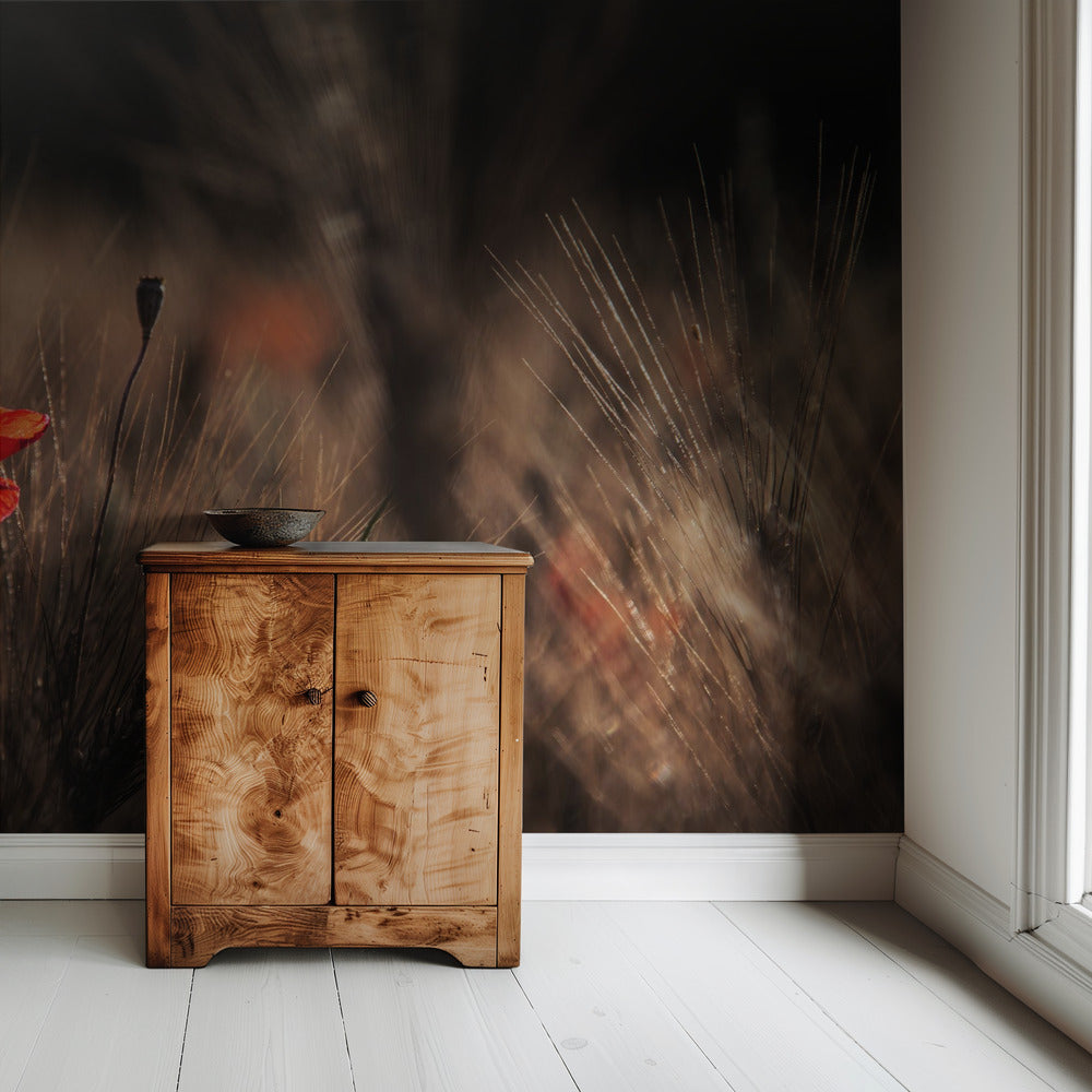 Mohn mit Mais | Tapete