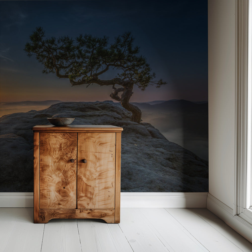 Alte Kiefer | Tapete