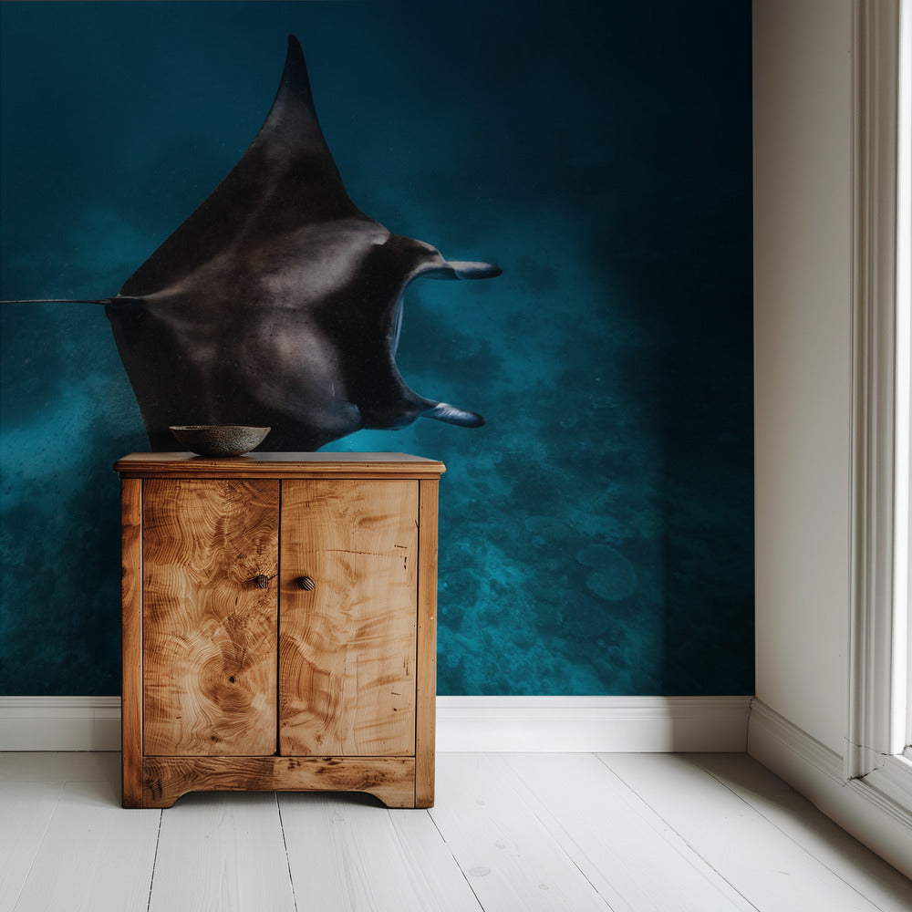 Manta flieg!!! | Hintergrundbild